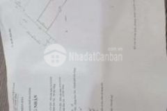 Tin trông ngày an hải bắc trung tâm sơn trà