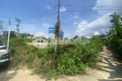 Đất nền điện bàn mt đường 20m
