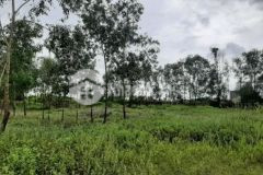 Cần bán thửa đất lúa cách cao tốc 2 5km