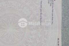 Tđc hòa quý đường 7m5 đình làng mân quan