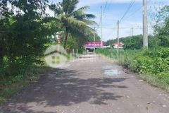 Đất thổ cư đường 12m ngang 5m dài 20m