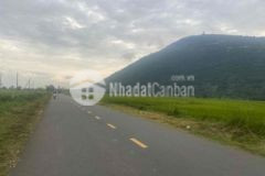 Xoay vốn bán gấp 7 5 công đất vườn liền kề nhau