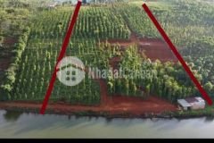 Mặt hồ lớn 46m mặt đng cấp phối cách ql 14 chỉ 2km