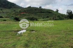 2400m2 đất nn giáp suối hiệp an