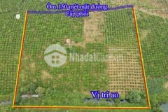 Gần 200m đường cấp phối nguồn thu cao cách tl 2km