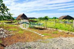 Hàng thơm lô đất vườn đẹp 700m2 giá 1 8 tỷ