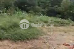 S 1552m có 100 thổ cư tại hợp thanh lương sơn hb