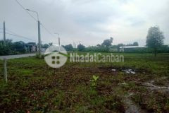 Bán 1 sào đất gia đình ở trảng bom đồng nai