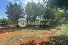 Chính chủ bán đất 4 mặt tiền x iapech h iagrai