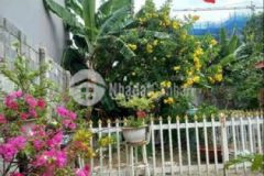 Bán căn nhà vườn thị trấn hóc môn siêu đẹp