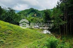 Lô đất rừng sx cách tt hà nội 60km