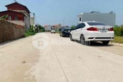 Đấu giá trịnh xá khu phân lô 56 lô