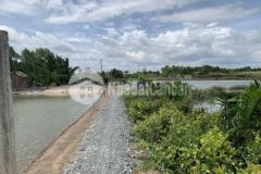 Đất bình khánh cần giờ ngã 3 bà xán giá đầu tư