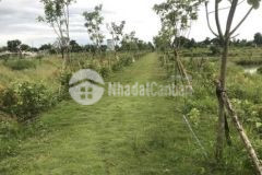 Gia đình cần bán 510m2 đất vườn tp long xuyên