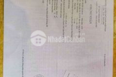 Việt hưng văn lâm cần bán