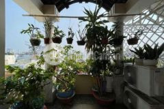 Nhà 52m² trệt lững 3lầu sân thượng hẻm 4m