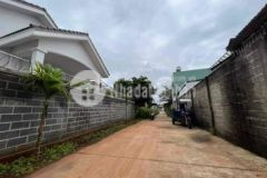 Đất nguyễn hữu thấu p tân lợi tp bmt hẻm thông