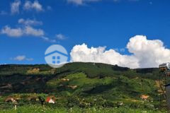 Đất nền f0 chỉ 699tr tại dự án sát nhập đà lạt 2