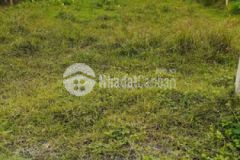 Bán gấp lô đất 12 x 40 gần khu công nghiệp trảng