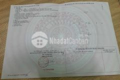 Bán vườn sầu riêng 4999m2 62x80 giá 15trm ngang