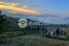 Đất nền y tý sapa 2 siêu phẩm giá rẻ biên độ tăng giá cao đầu tư siêu lợi nhuận