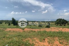 Khách kẹt tiền bán gấp lô 8725m2 giá 1 tỷ 308tr tt lương sơn sát đất safari rạng đông.lh xem sổ ạ