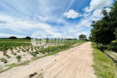 Đất vườn 9 sào, quốc lộ 1a, ngay safari, đường về sân bay, giá 1 tỷ 2, shr, bao thuế phí.lh zalo ạ