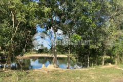 Bán mảnh vườn 5460m2, gần khu du lịch safari hồng liêm, shr