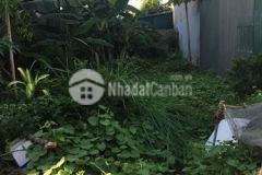 Bán đất mặt tiền 5,8m cổ linh long biên ngõ thông ô tô 72m2