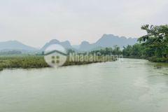 Bán gấp siêu phẩm bám sông bôi dt 1320m2 vài bước chân đến điểm cắm trại