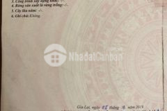 Chính chủ bán nhanh đất đồi thông 967m2 thổ 100