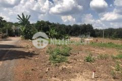 Bán gấp miếng vườn sổ sẵn dt 1001m2 giá 420 tr