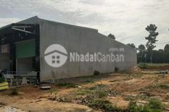 Bán đất dt 567m2 kcn mỹ phước bến cát 1 82 tỷ