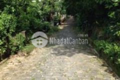 Nhà cấp 4 thổ cư 110m2 hxh cách lý thái tổ 500m