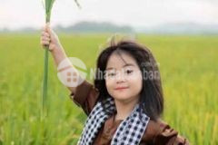 1 suất lúa non tái định cư ninh kiều