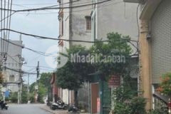 Bán đất cửu việt trâu quỳ gia lâm hà nội