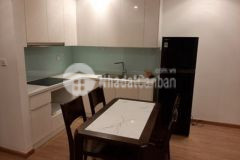 Bán gấp căn hộ mandarin garden 115m2 3pn nhà đẹp