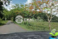 Đất chính chủ sổ hồng sẵn mua là công chứng liền