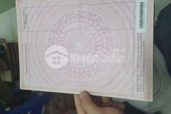 Cần tiền xây nhà bán gấp lô đất giải tỏa