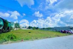 Bán đất chính chủ shr tràm lạc mỹ hạnh bắc