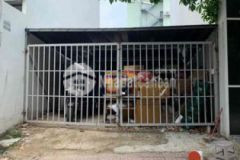 Đất ngang 5m đẹp y hình