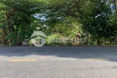 13 5m mặt tiền tỉnh lộ 837 ngay khu di tích xứ ủy