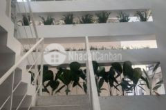 Nhà mới đẹp trần bình trọng 4x20m 3 lầu