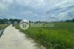 Bán 1000m2 đất vườn bình chánh gần t14