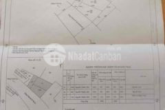 Bán 2 500m2 full thổ mặt tiền vành đai tân an