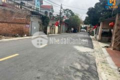 Trục chính kd dược hạ ss đường nhựa 8m ra ql3 80m