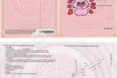 Đất thổ cư 235m2 giá 289 triệu mặt tiền nhựa 6m