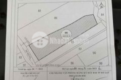 6800m2 đất có 55m mặt tiền đèo mimosa p 3 đl