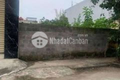 Chủ đất cần tiền giảm giá kịch sàn đất thường tín