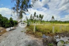 1000m2 đất vườn kênh biện cung bến lức 880tr